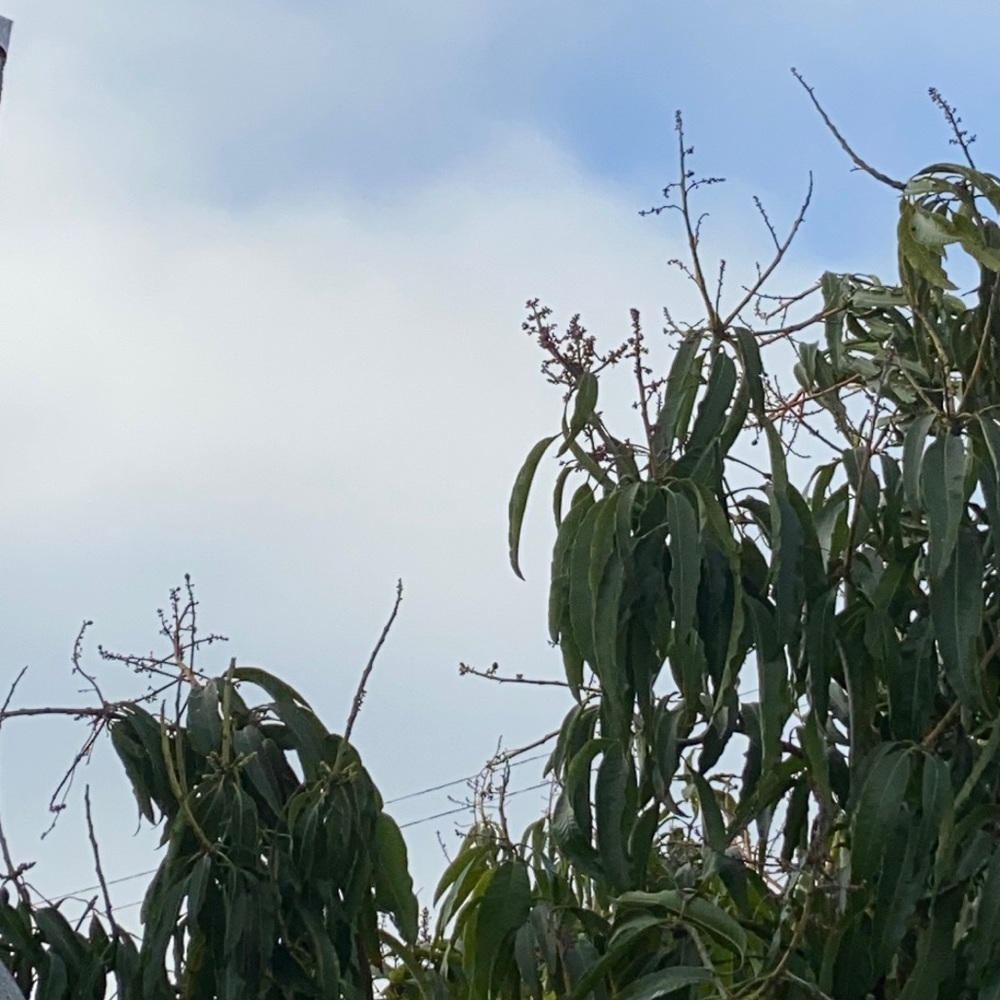 BUNDLES👖👚🧵🧶